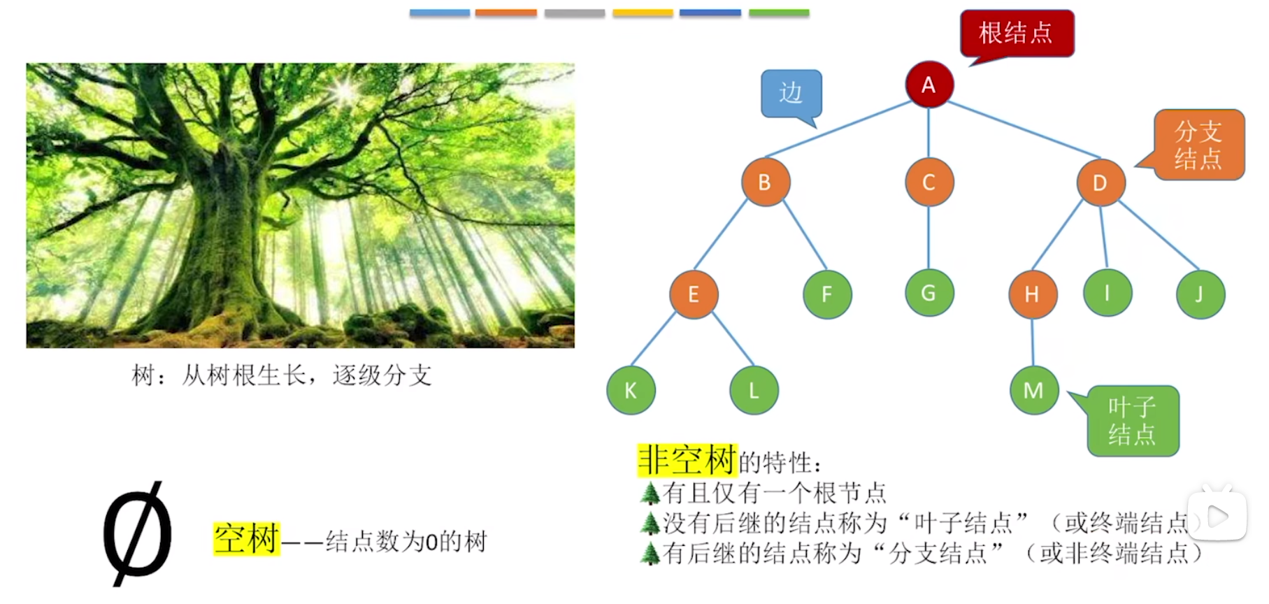 image-20240218195431050