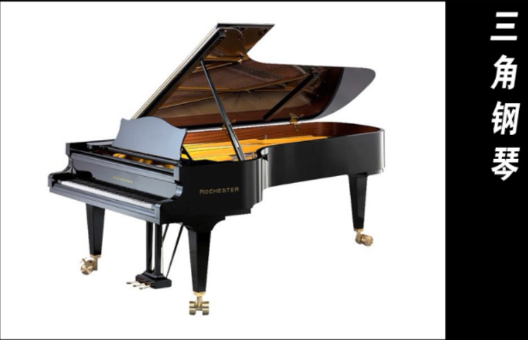 image-20240219135943610