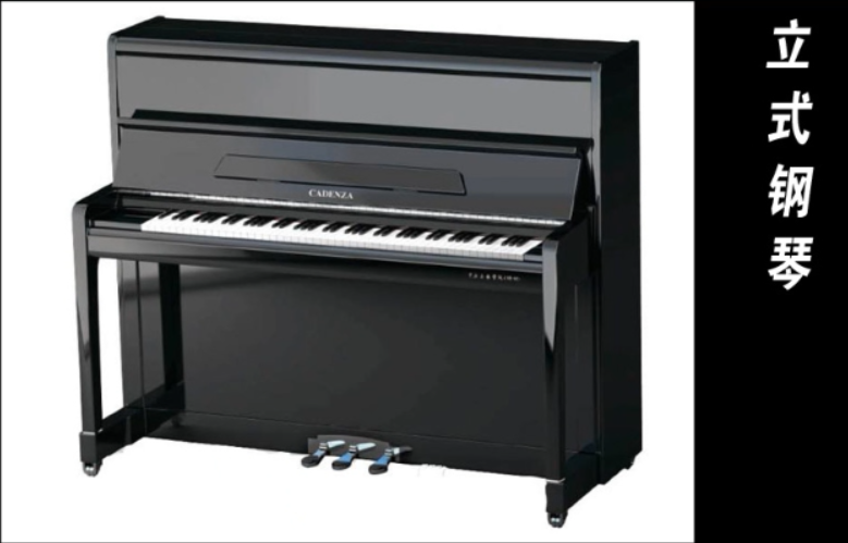 image-20240219135959258