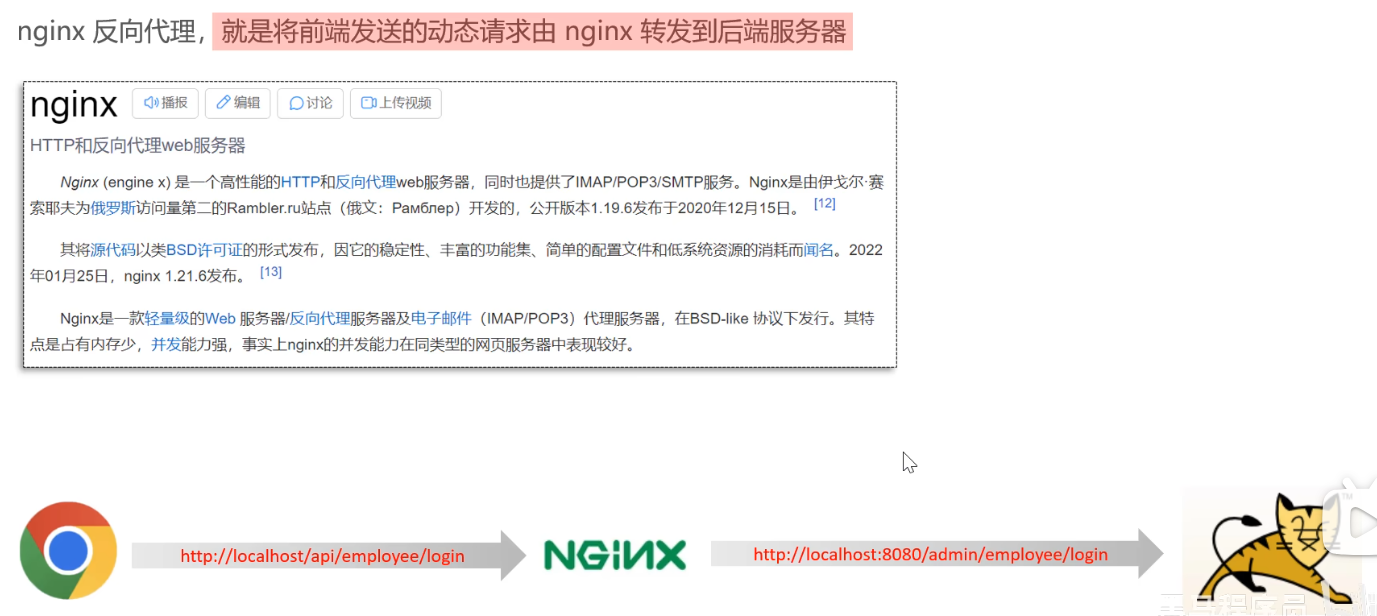 image-20250125120845201