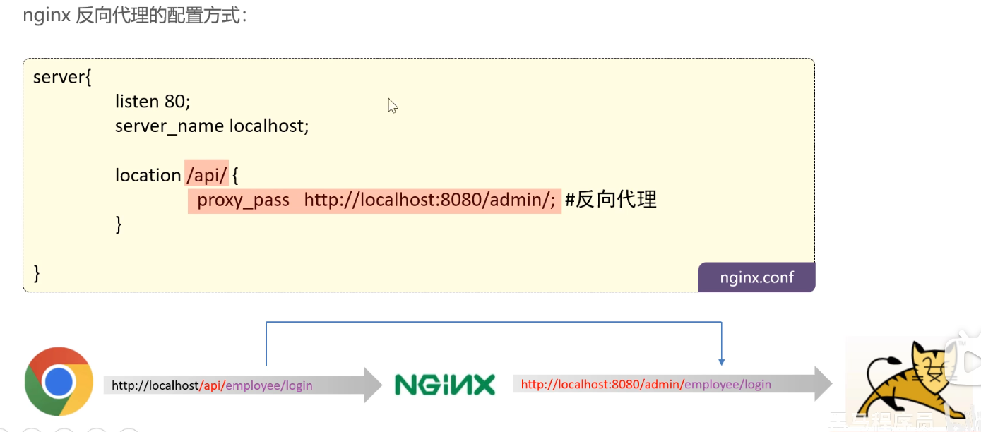 image-20250125121244660
